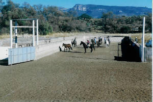 scan0033.jpg