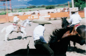 scan0037.jpg